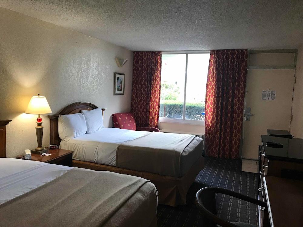 Quality Inn Tampa Lake Magdalene Exteriör bild