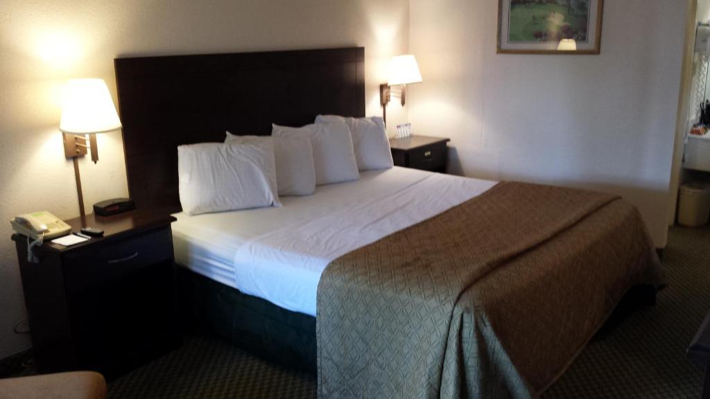 Quality Inn Tampa Lake Magdalene Rum bild