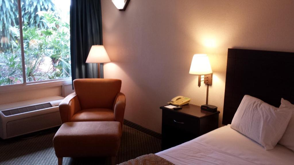Quality Inn Tampa Lake Magdalene Rum bild